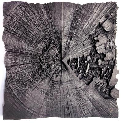 Element. Krasnov Pavel