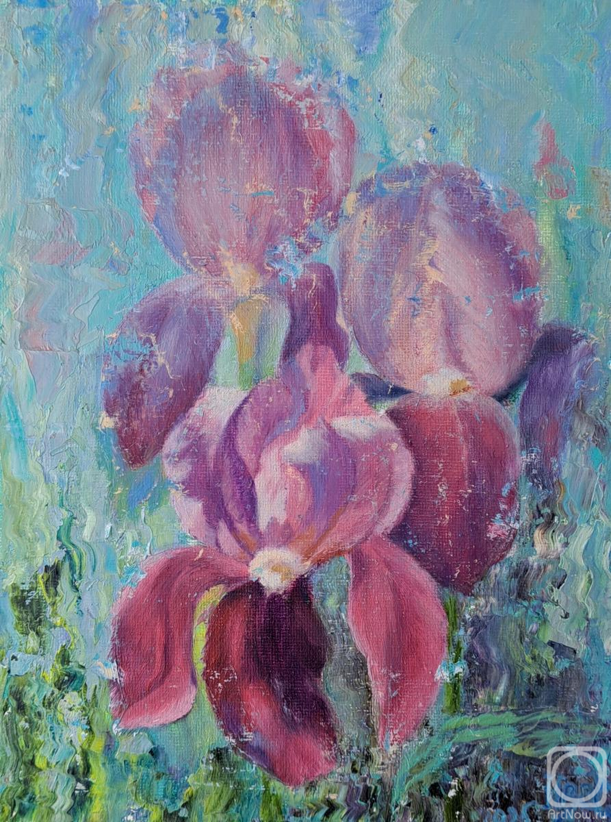 ������� ������ �� ������. ������� ��������. �����. ������ �����