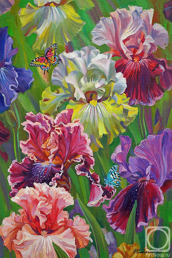 ������� ������ �� ������. �������� ��������. ������� ������