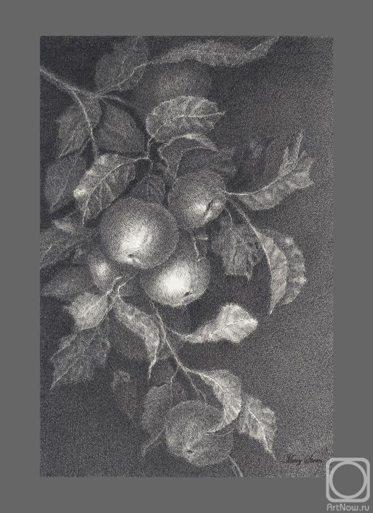 �������. ����������� ������. ����� ������