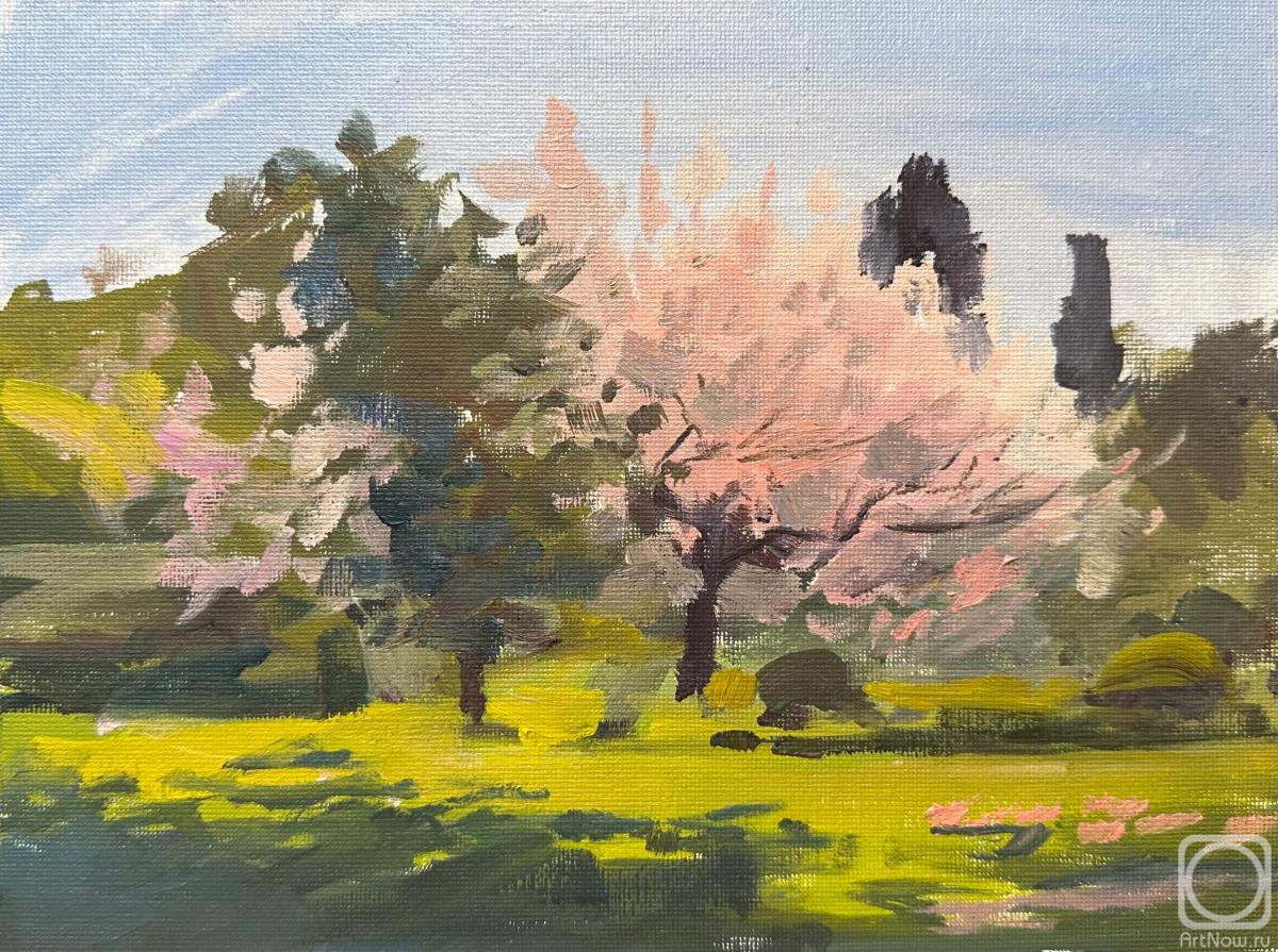 �������. �������� �����. � ���� �����