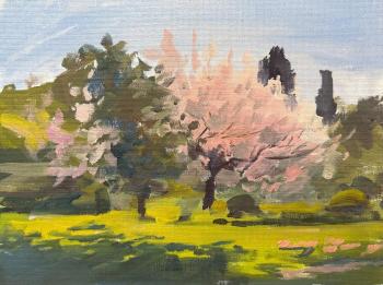 ������� �� ���� �����