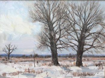 Oak trees (5). Cheglyakov Andrey