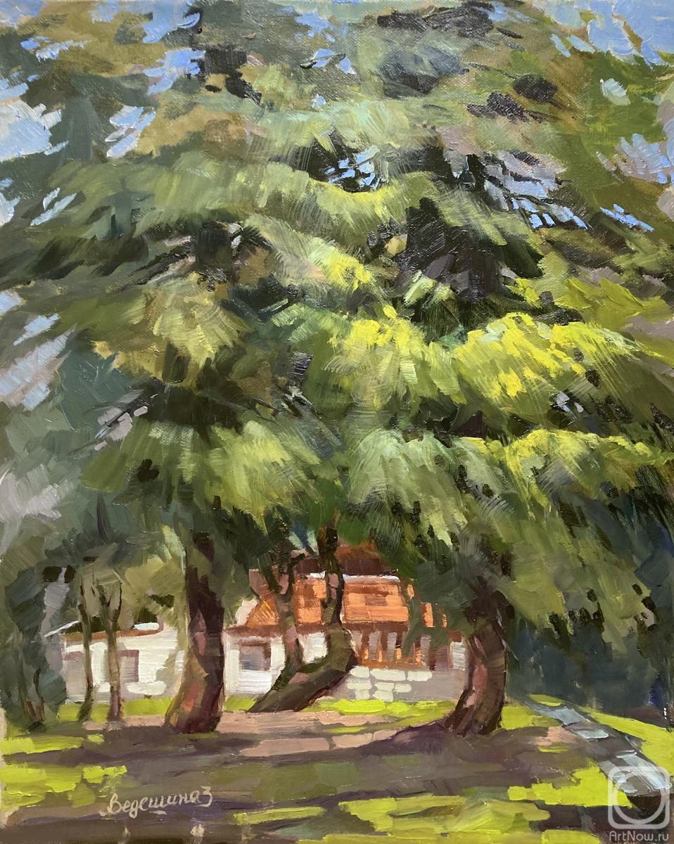 Vedeshina Zinaida. Untitled