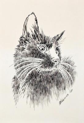 ������� ������ � ������ (������� ���� �3). (������ � ����� �20)�