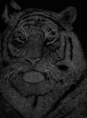 ����. �������� �����