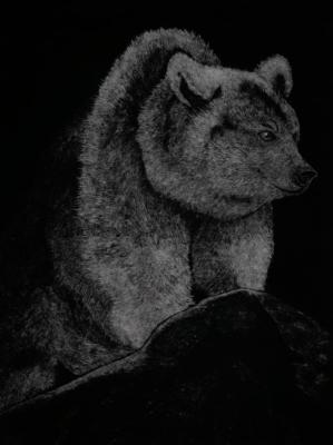 �������. �������� �����