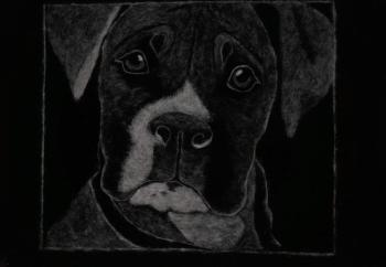 �����. �������� �����