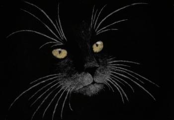 ���. �������� �����