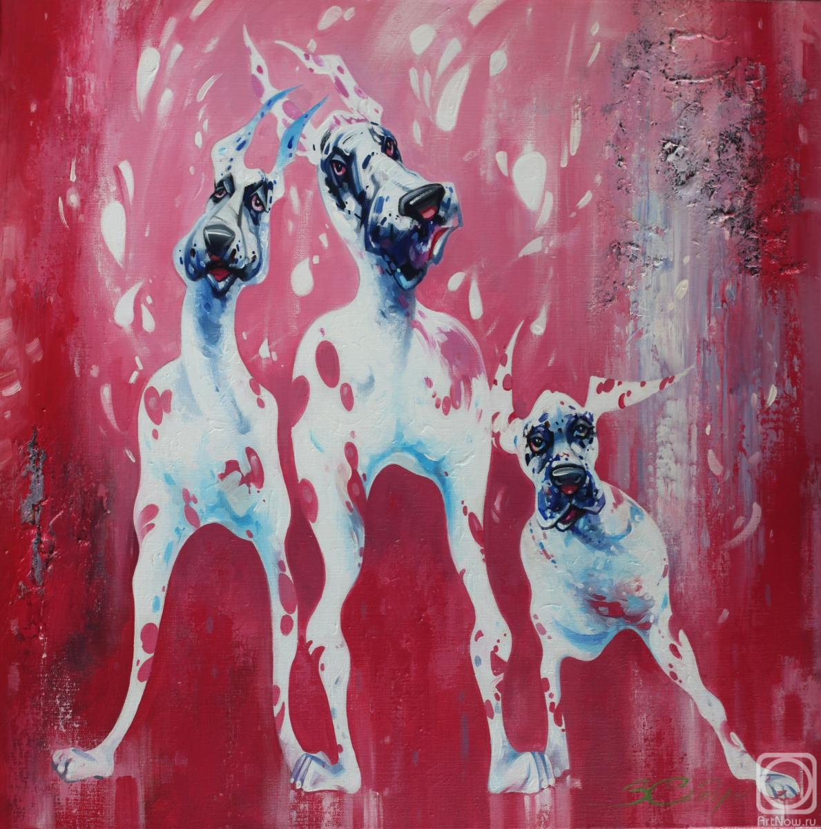 ������� ������ �� ������. ������� �������. ������� �����