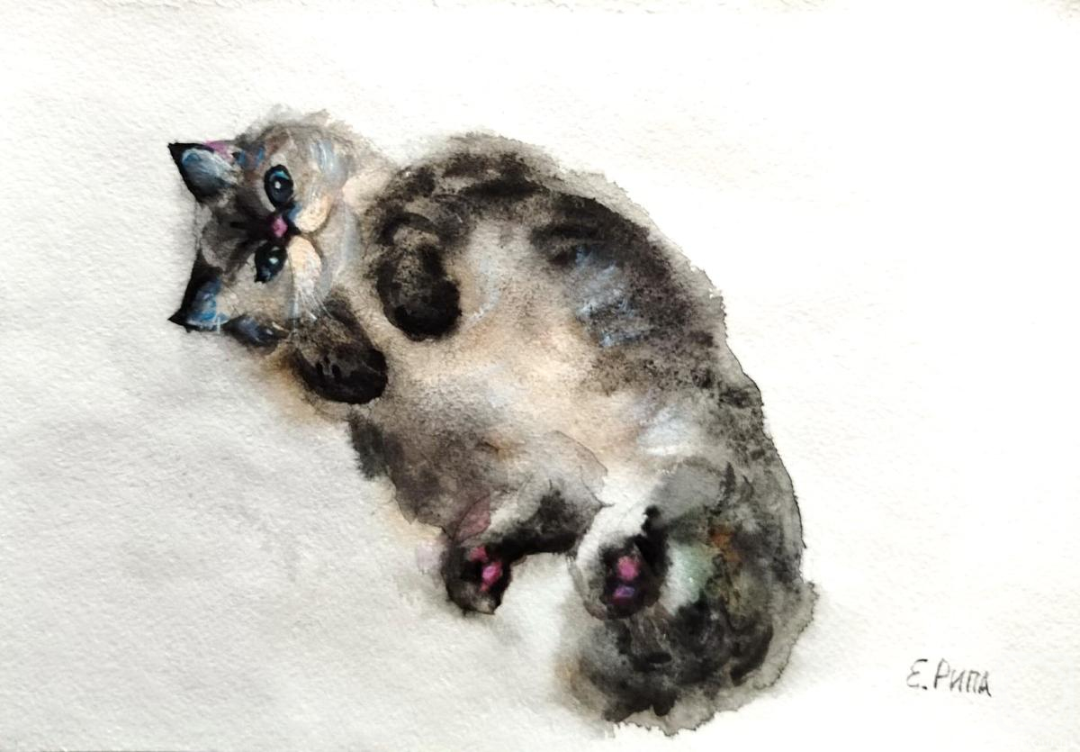 �������. ���� �����. � ���� �����!