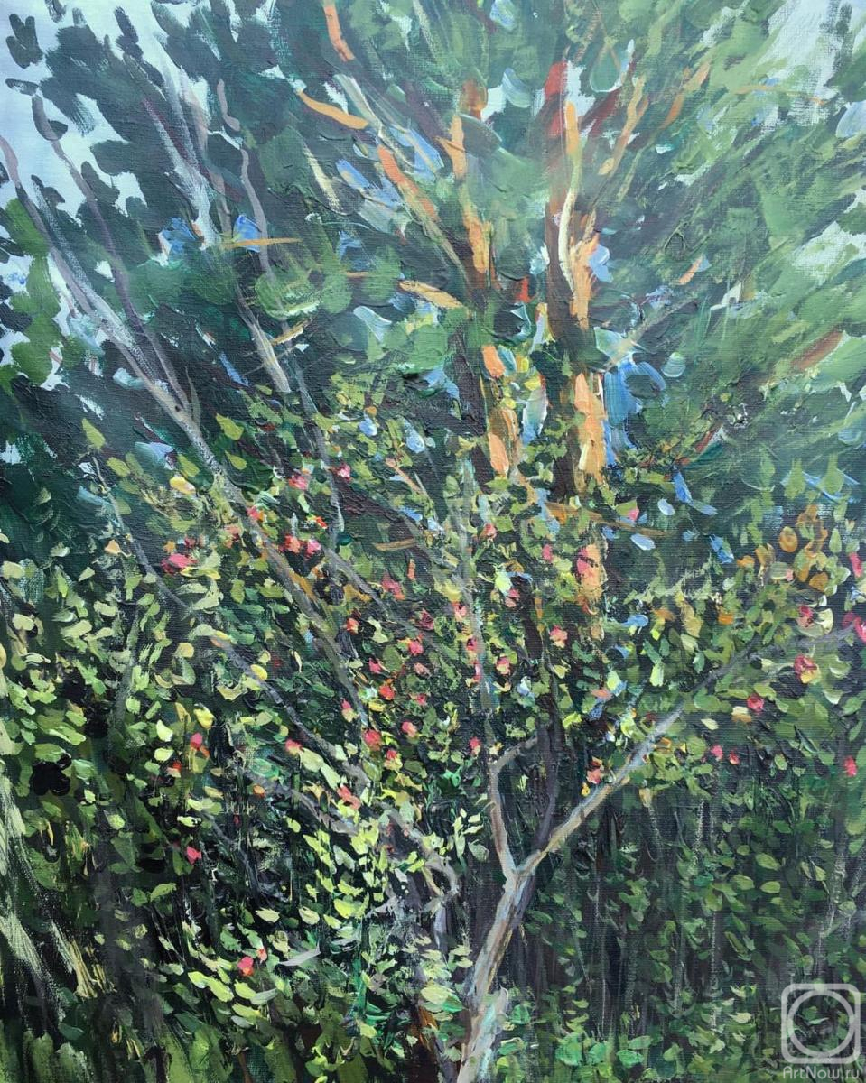 ������� ������ �� ������. �������� ������. ������ ������