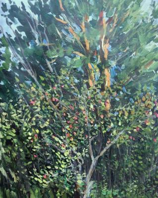 Old apple tree. Cheglyakov Andrey