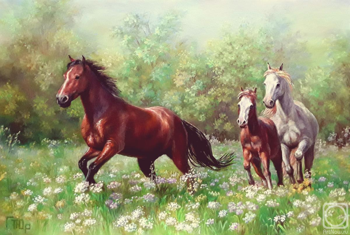 ������� ������ �� ������. ��������� �������. �� �������� �����