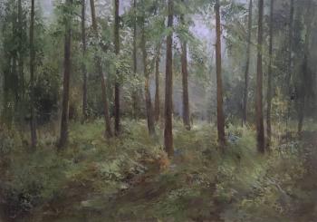 ������� �������� ����