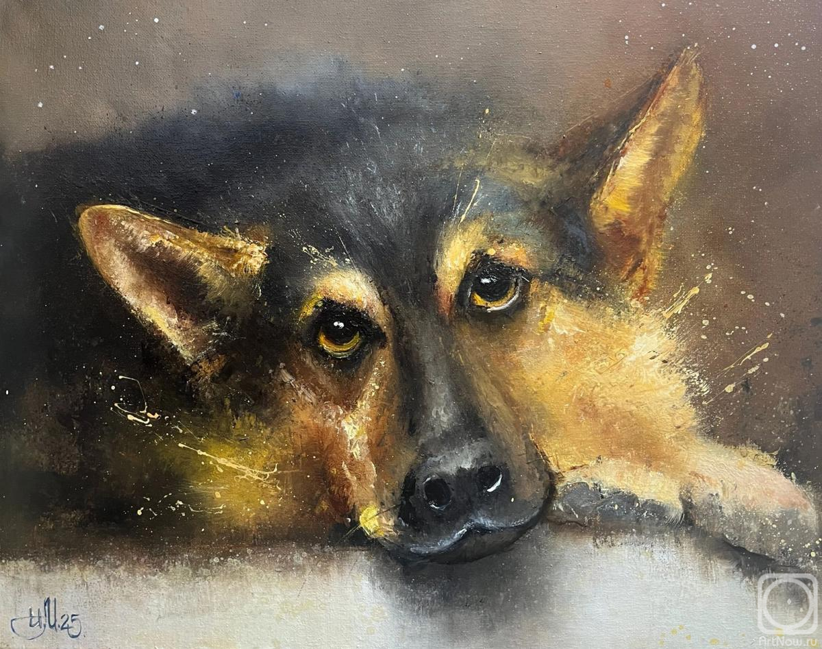 ������� ������ �� ������. �������� �����. �����