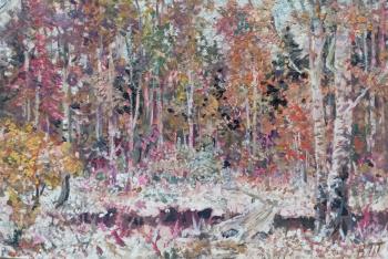 ������ ����