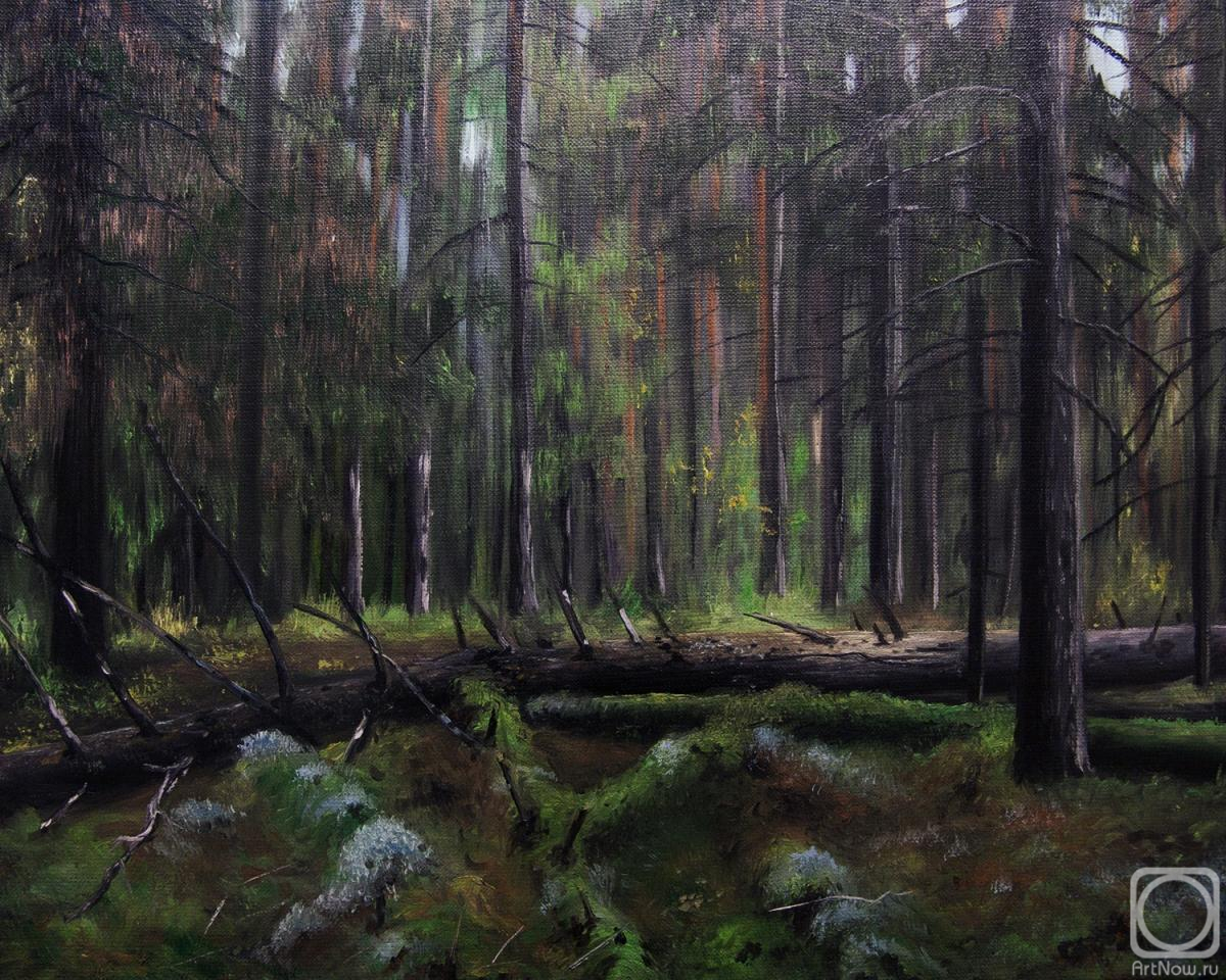Картина маслом на холсте. Лактаев Роман. В лесу