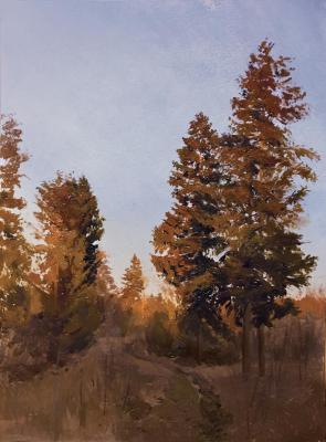 ������� ��������� �����