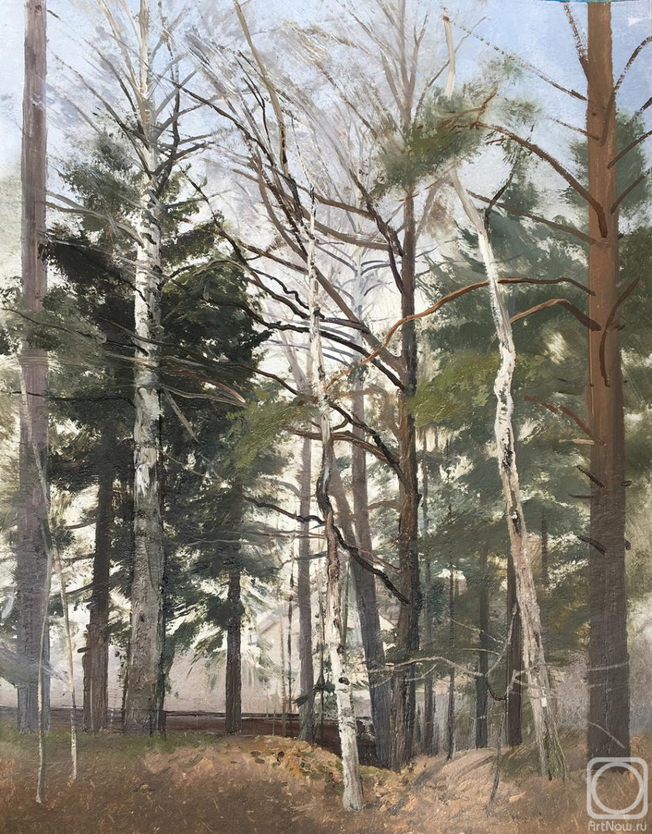 �������. ����� �����. ������ �����