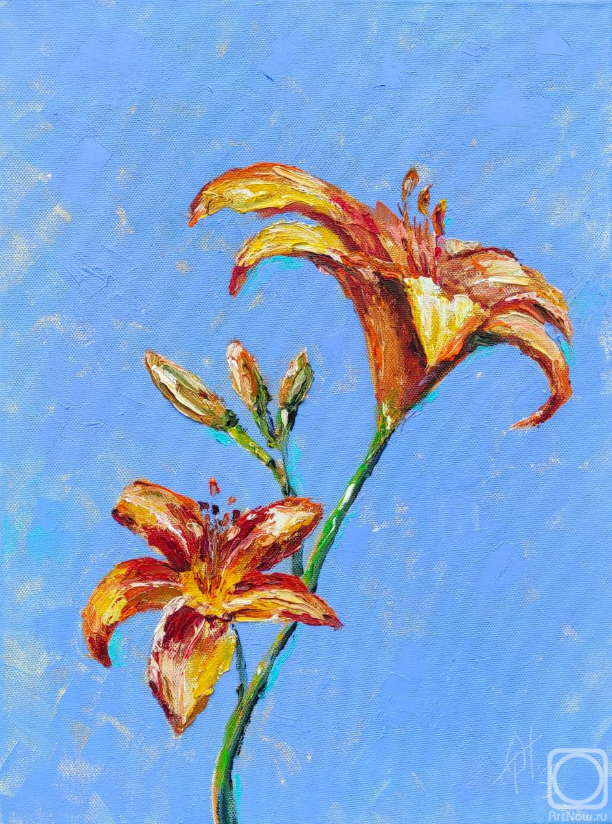 ������� ������ �� ������. ����������� �����. ��������� �����