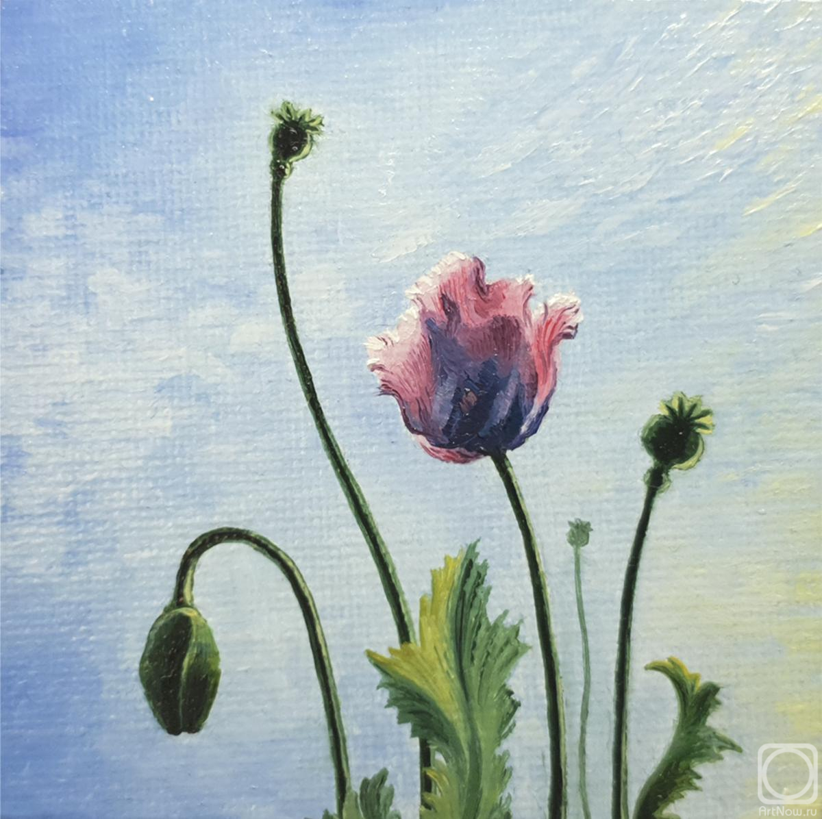 ������� ������ �� ������. ������� ������. ����