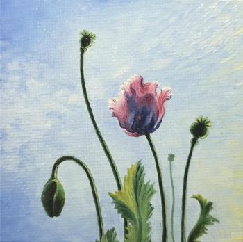 ������� �����