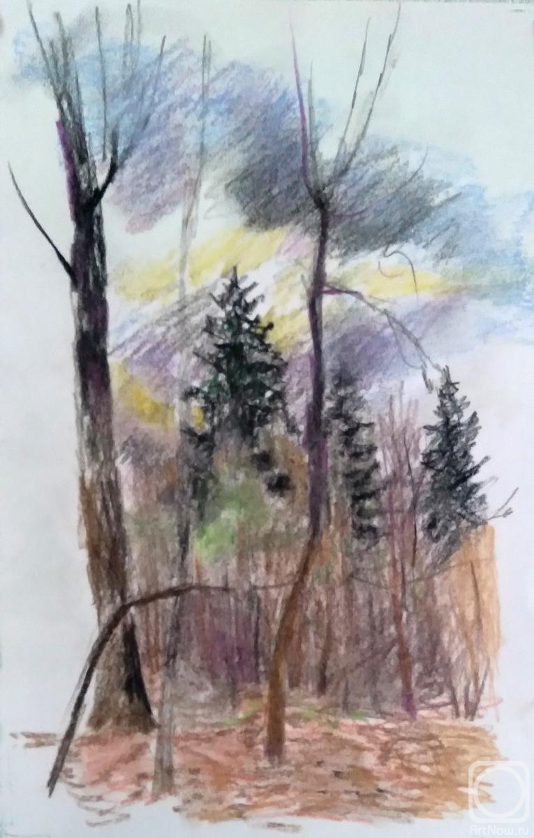 �������. �������� �������. �������� ���� � ���������� �����