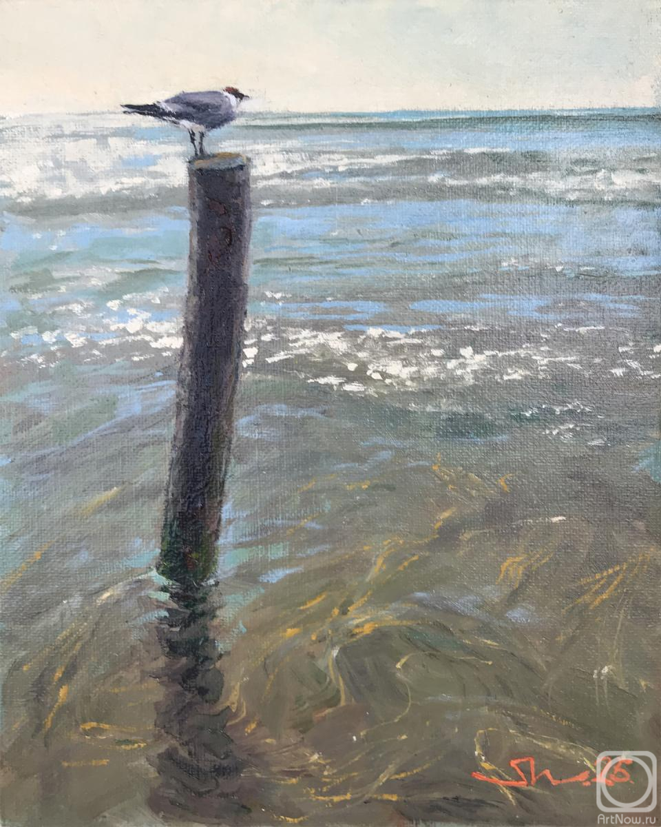 ������� ������ �� ������. ������� �������. ��������