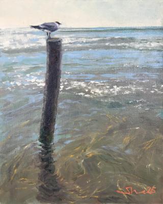 Expectation. Shamanov Nikolaj