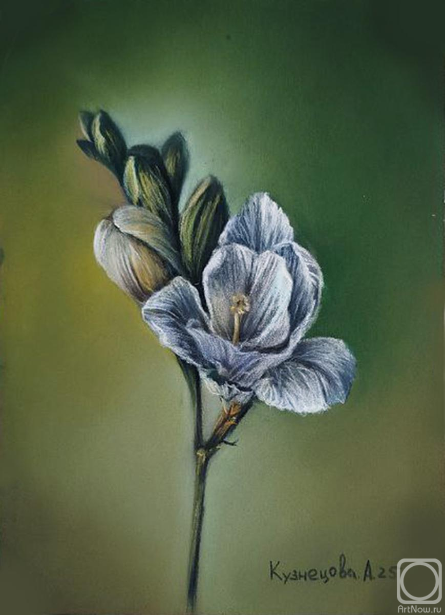 �������. ��������� ���������. ������