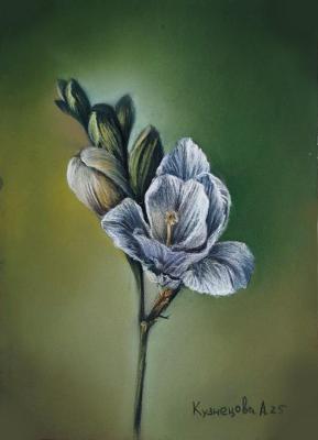 ������� ��������