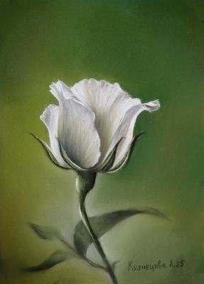 ������� ������ ����