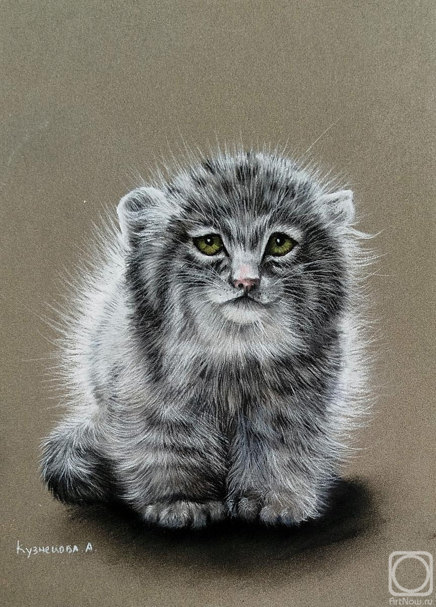 �������. ��������� ���������. ��������� ������