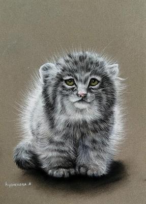 ��������� ������. ��������� ���������