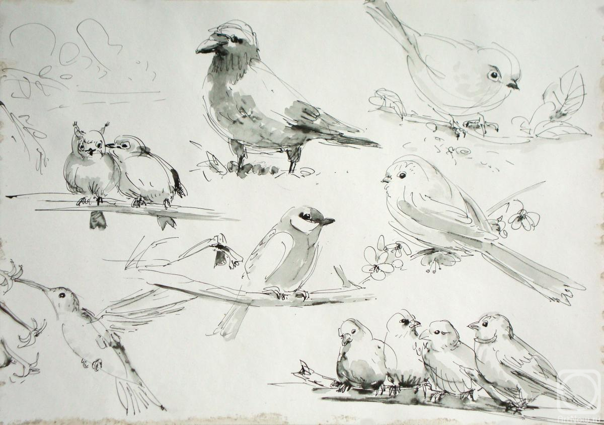 �������. ���������� �������. ��������� ����