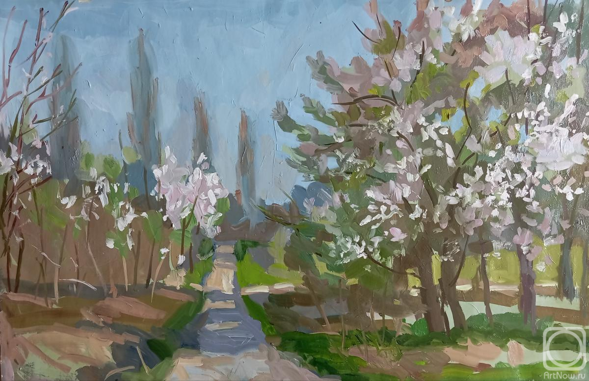 �������. ��������� ����. �������� ��������