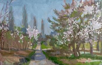 �������� ��������. ��������� ����