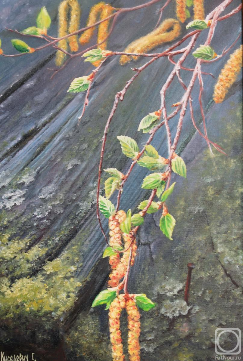 �������. ��������� ��������. �������� ������