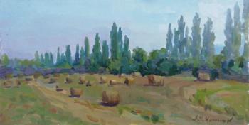 Kuban. Wheat harvest. Haystacks. Tsyrulnik Alla