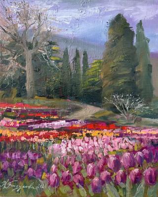 ������� ������ ��������� � ��������� ������������ ����