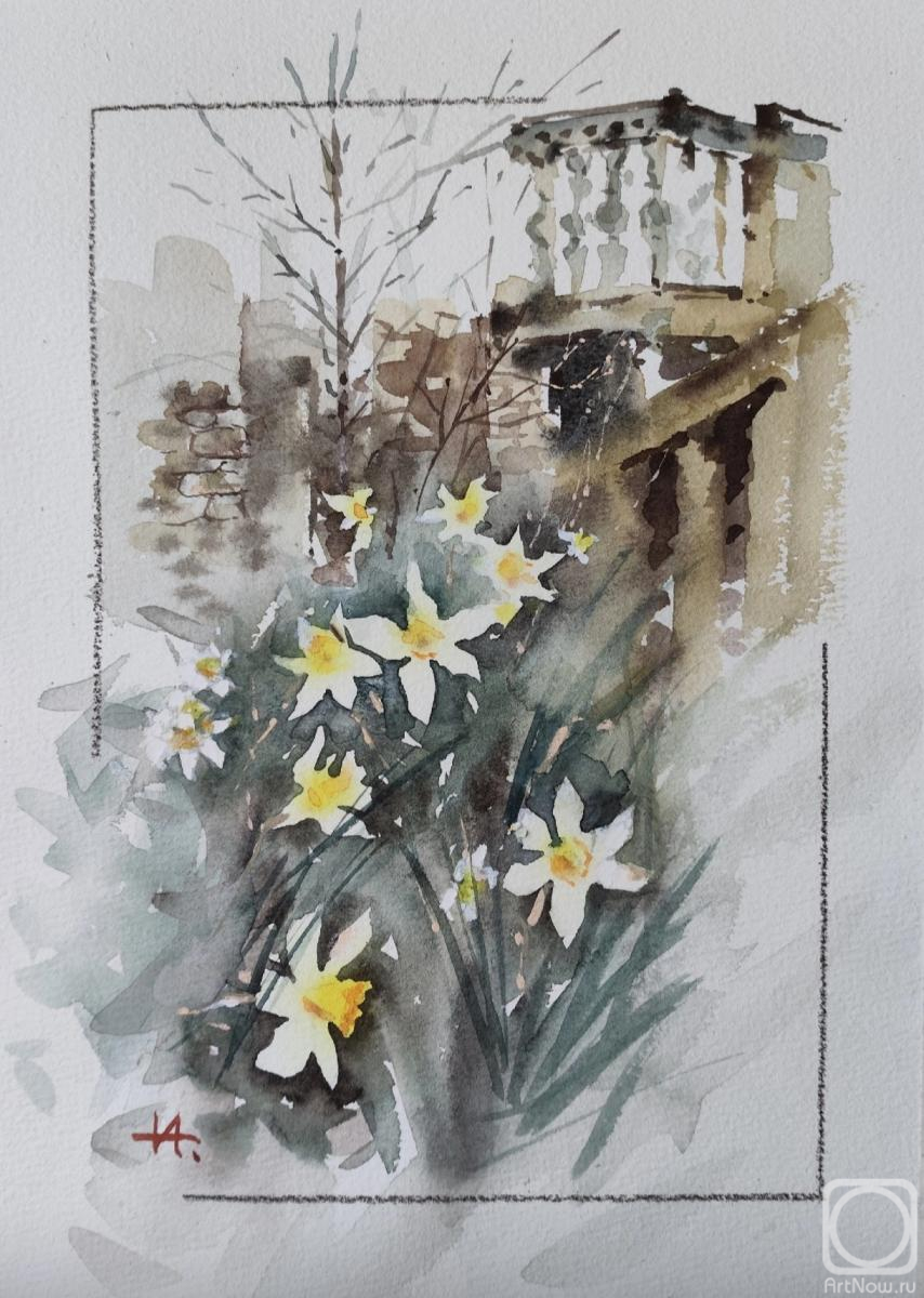 �������. ������� �����. �����������