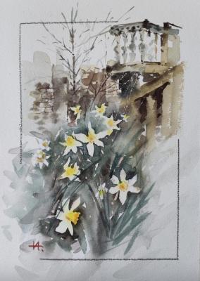 ������� ������������