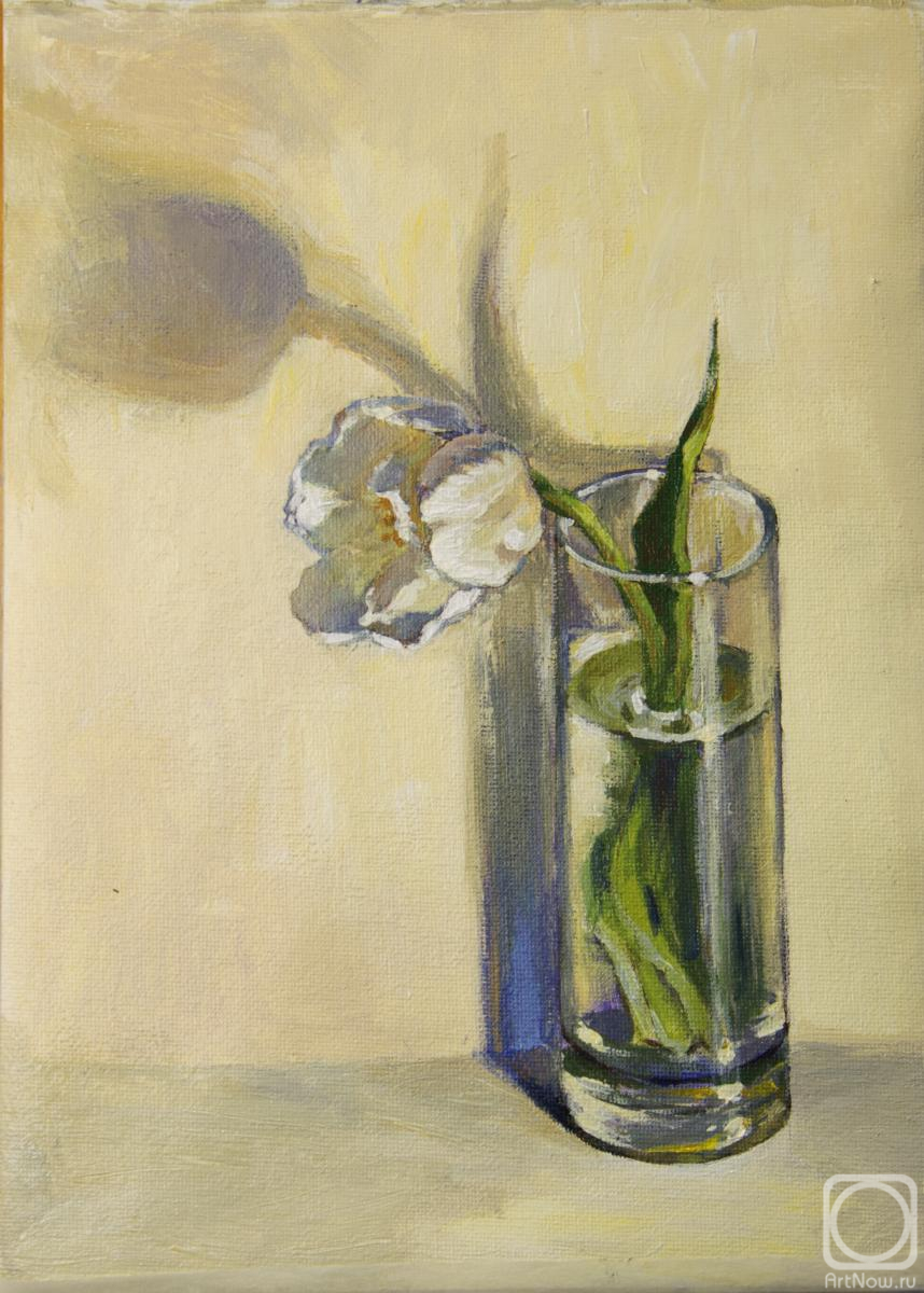 ������� ������ �� ������. �������� ����. ����� �������