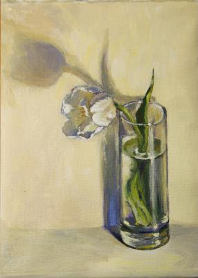 ������� ������ ��������