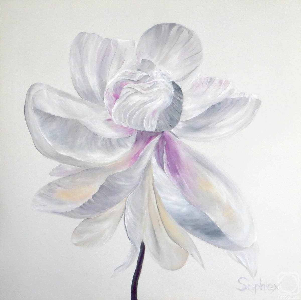 ������� ������ �� ������. ������ ���������. ��������