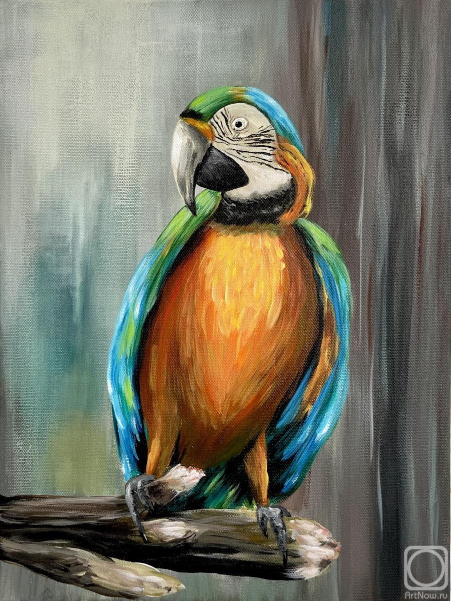 �������. �������� ���������. �������