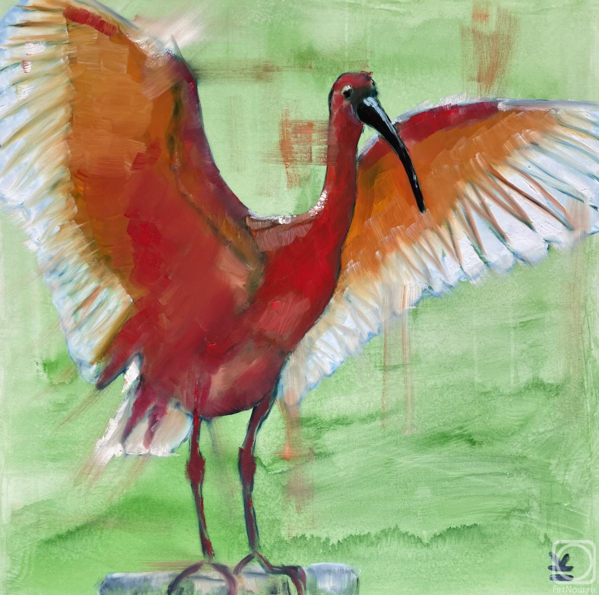 ������� ������ �� ������. ������� �����. ������� ����