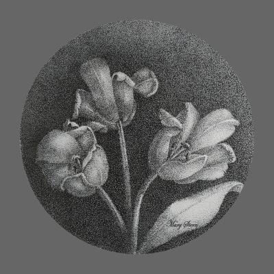 Тюльпаны. Скрыпникова Марина