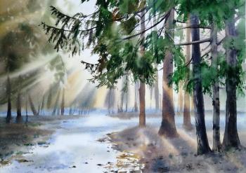 �������� ���. ��������� �����